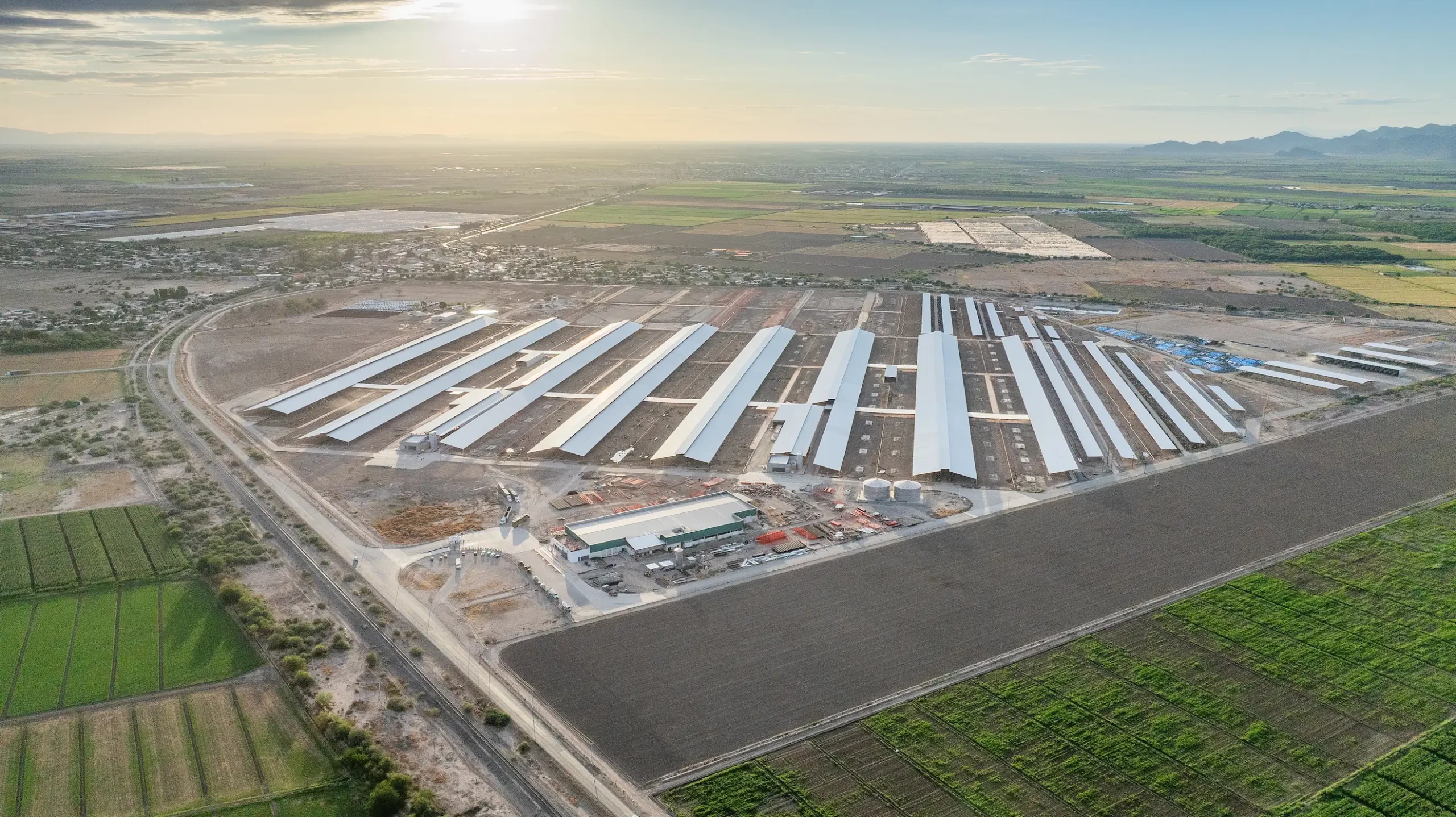 background-san-francisco-2-scaled